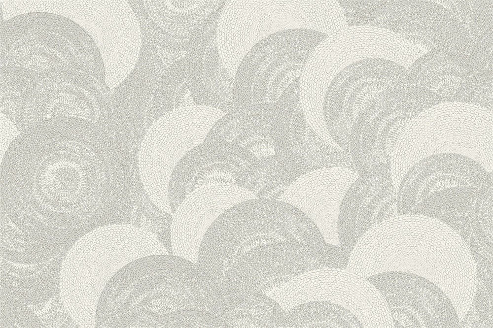 G8113-01