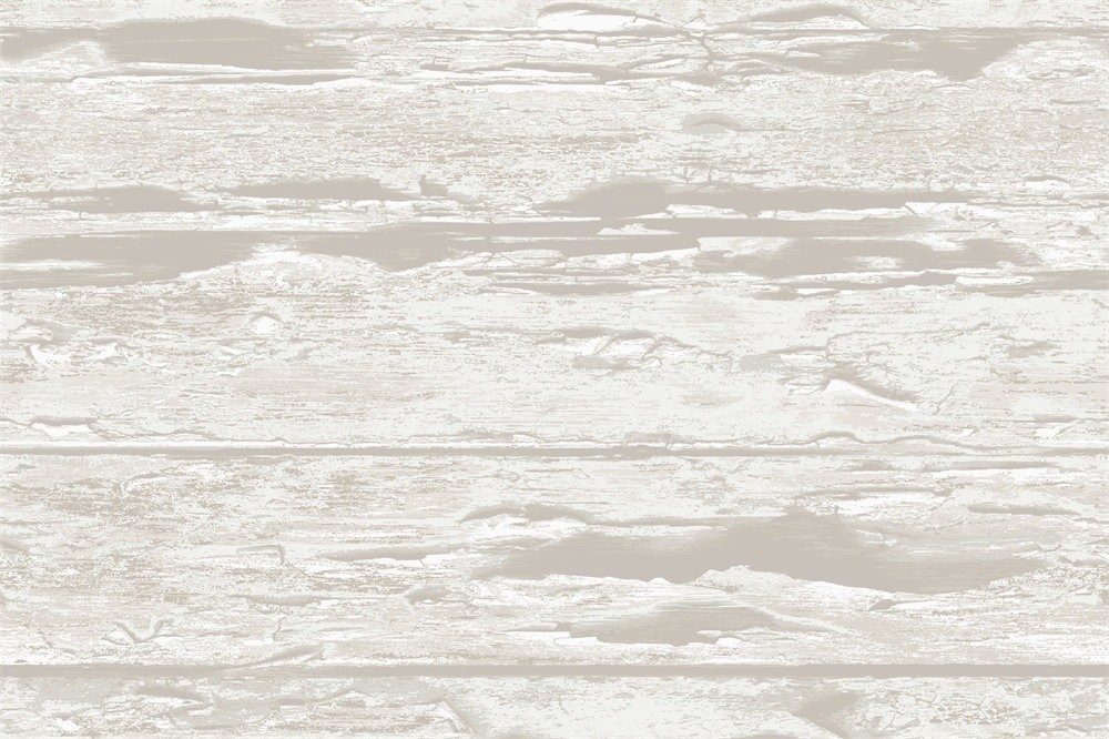 R1924-01