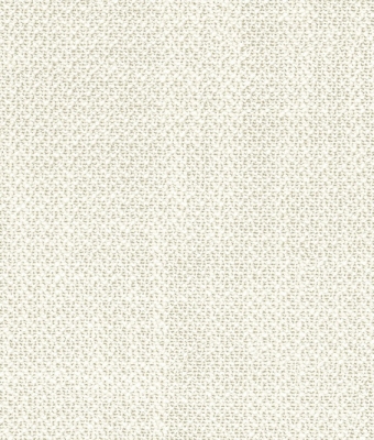 VW-21932-01