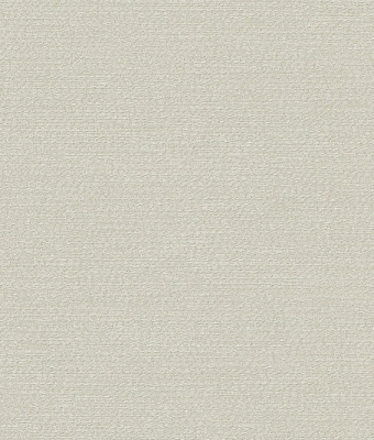 H1006-03