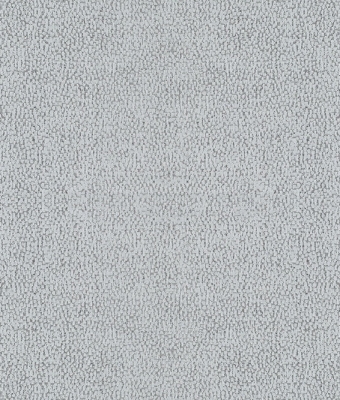 H1004-07