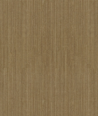 AW5602-04