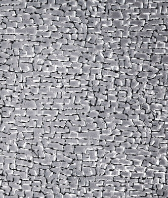 X116-03