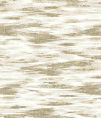 AD-91031-01